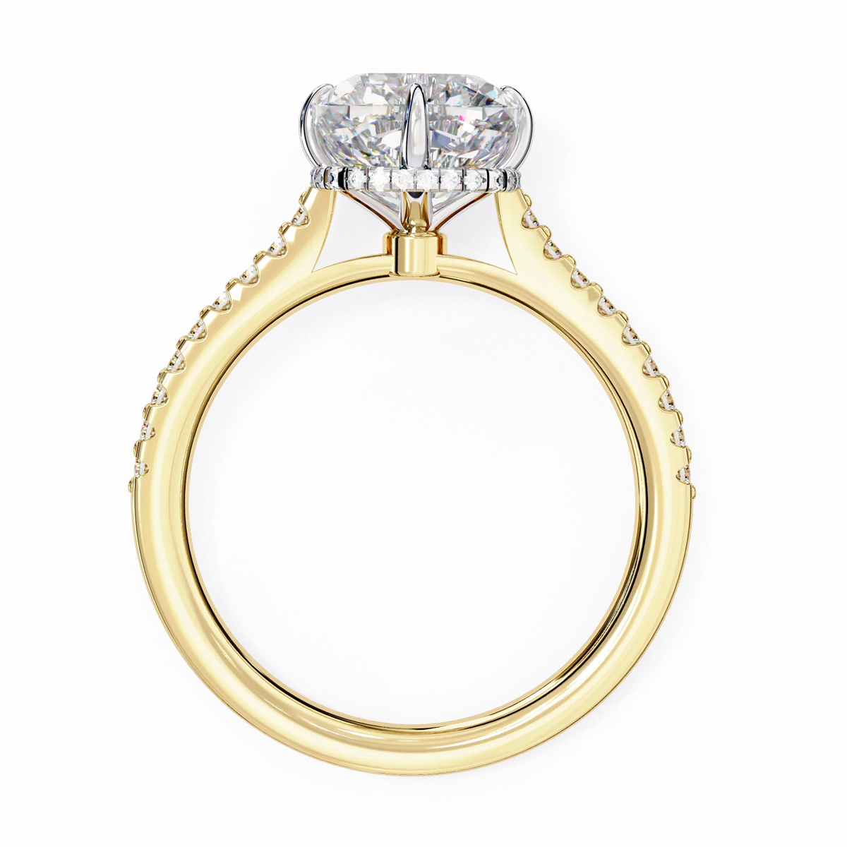 Aurora Embrace Lab Grown Diamond Ring - Ophiratbf