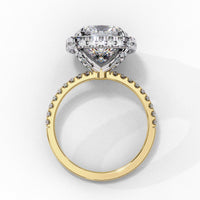Luminous Halo Cushion Lab Grown Diamond Ring - Ophiratbf