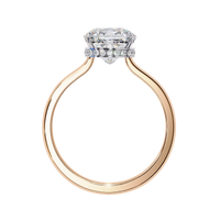 Elise Lab Grown Diamond Cushion Secret Halo Ring - Ophiratbf