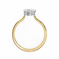 Aurora Lab Grown Diamond Pear Secret Halo - Ophiratbf