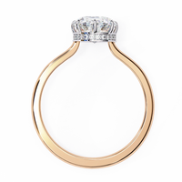 Elara Lab Grown Diamond Oval Solitaire Halo - Ophiratbf