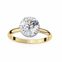 Aurora Lab Grown Diamond Round Hidden Halo - Ophiratbf