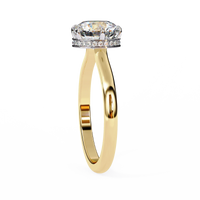 Aurora Lab Grown Diamond Round Hidden Halo - Ophiratbf