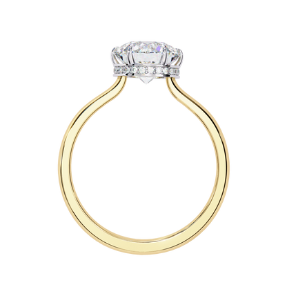 Aurora Lab Grown Diamond Round Hidden Halo