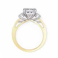 Radiant Baguette Princess Lab Grown Diamond Ring - Ophiratbf
